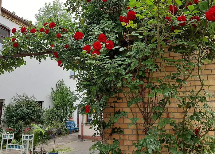 Fewo Rosenbluete Am Stadtpark
